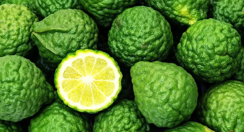 What Does Bergamot Smell Like? The Sunny, Bittersweet Citrus Behind Earl Grey and Great Perfume