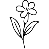 Icon 2