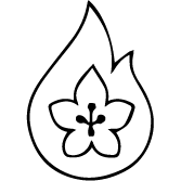 Icon 4