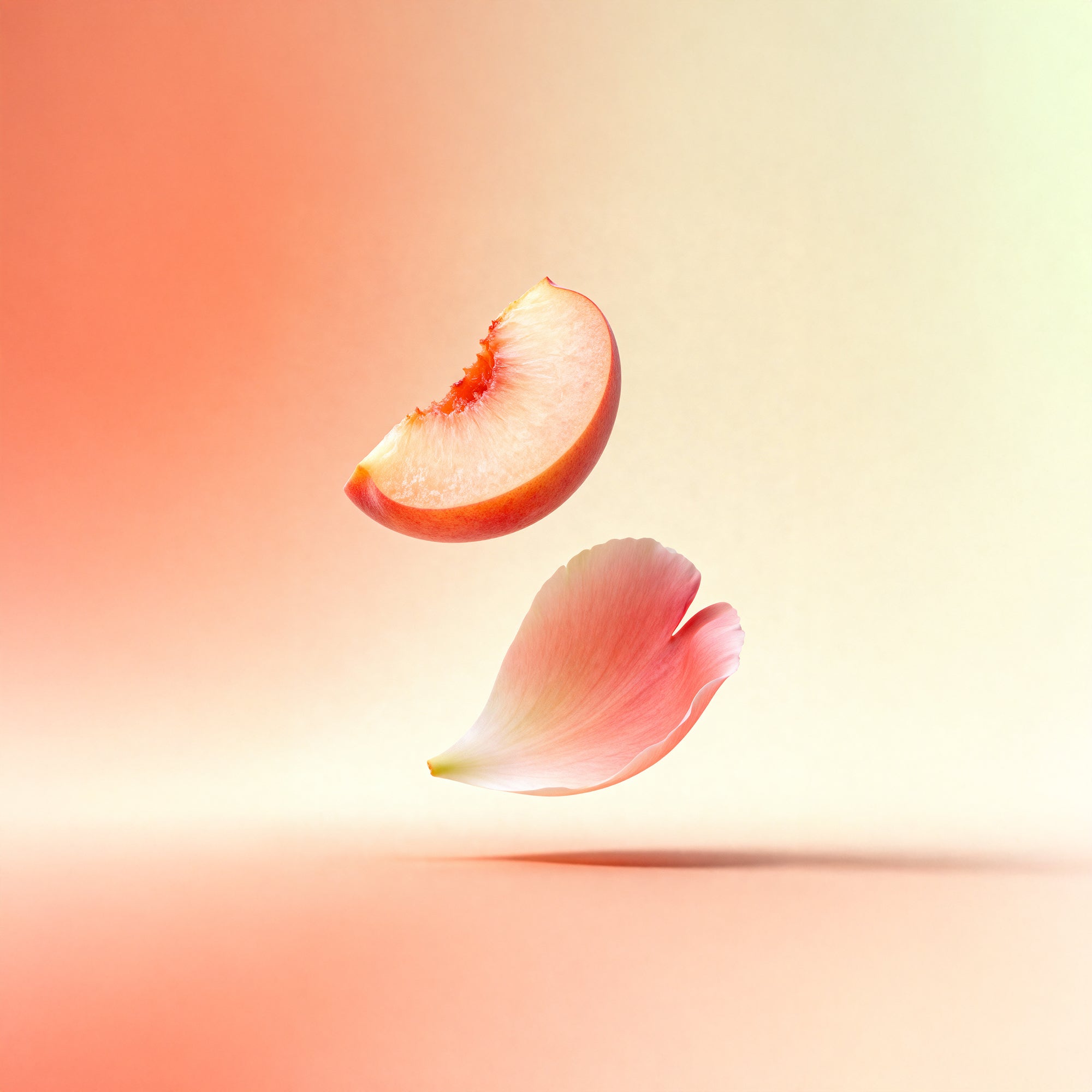 Usage Image