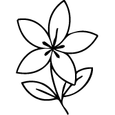 Icon 2