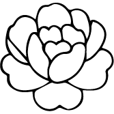 Icon 3