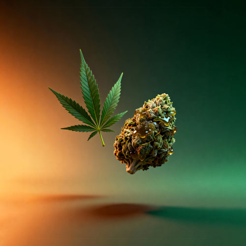 Noir Hashish