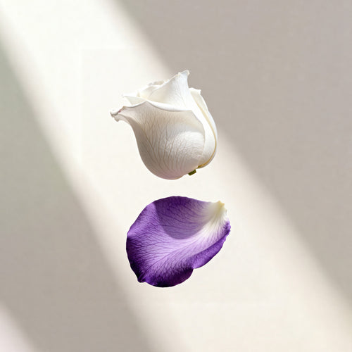 Pure Light