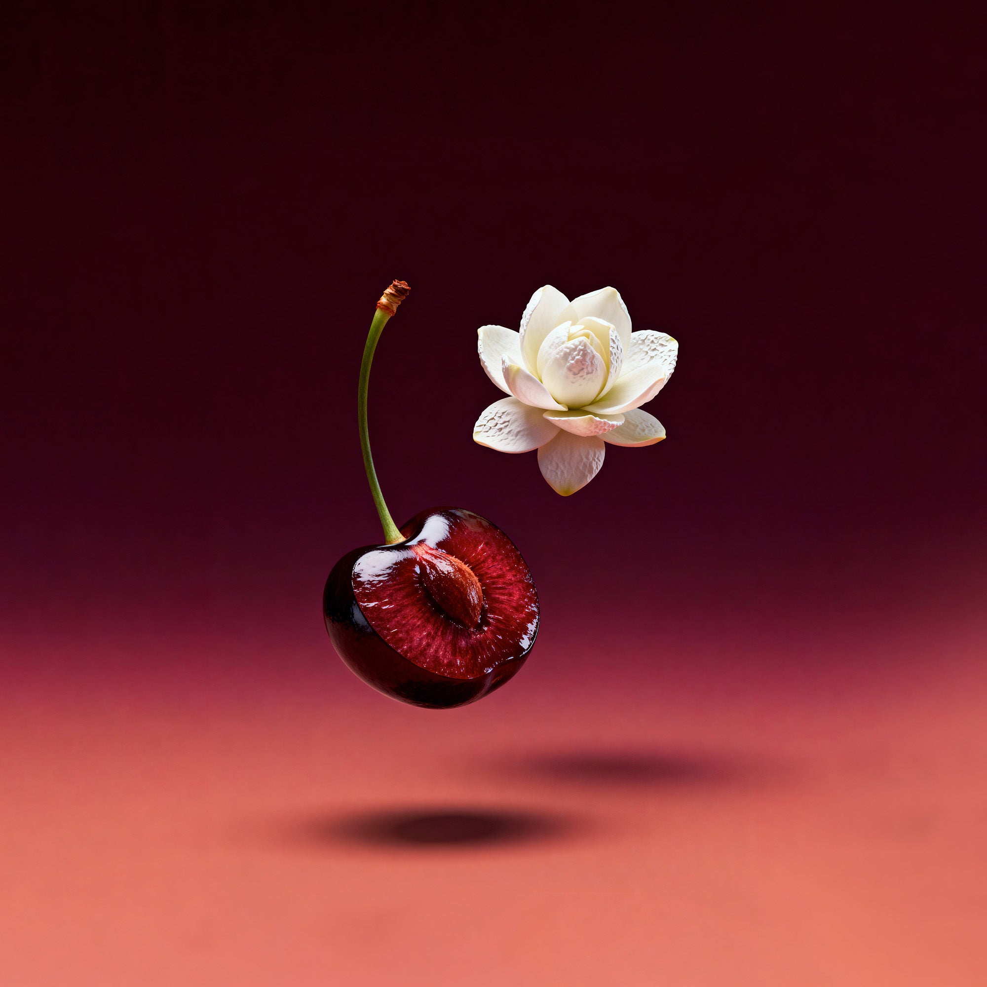Buy Sinful Desire | Niche Unisex Fragrances - Perfume – Scentspired