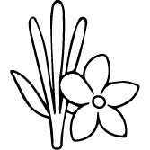 Icon 3