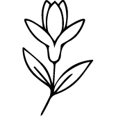 Icon 1
