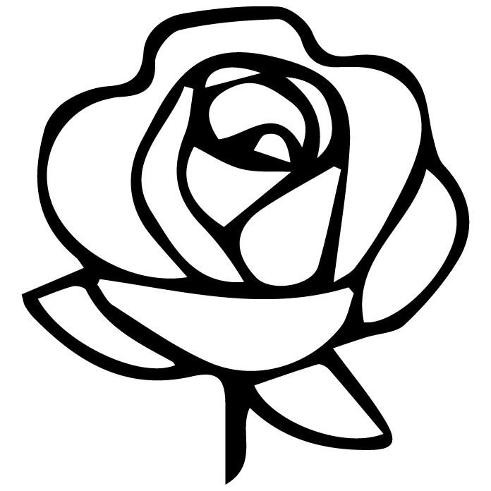 Icon 1