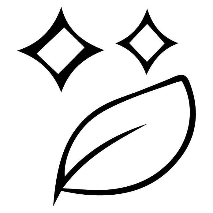 Icon 2