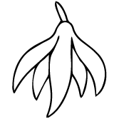 Icon 1